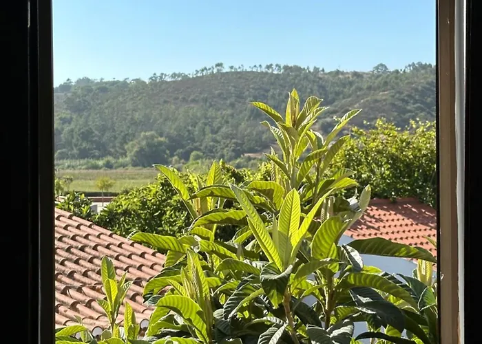 Natalie's Tiny House- 6 Minutes From The Beach! Odeceixe